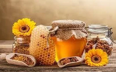 produits ruche vitalite approche bien etre